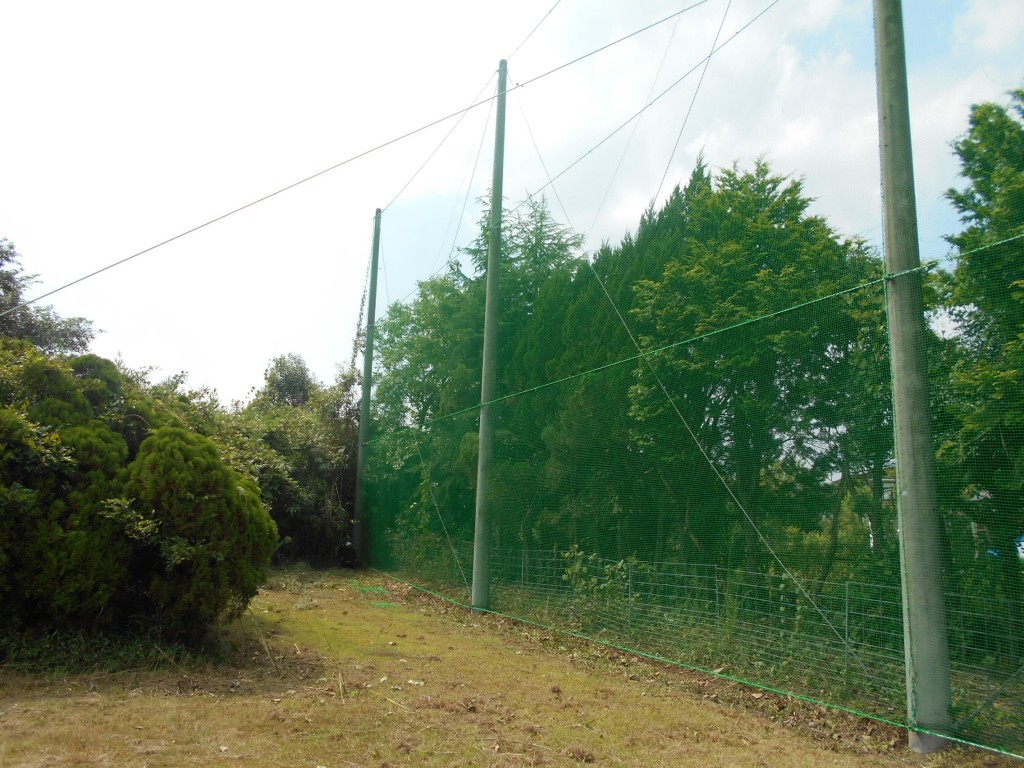 固定張りネット張替工事