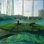 目標グリーン張替工事