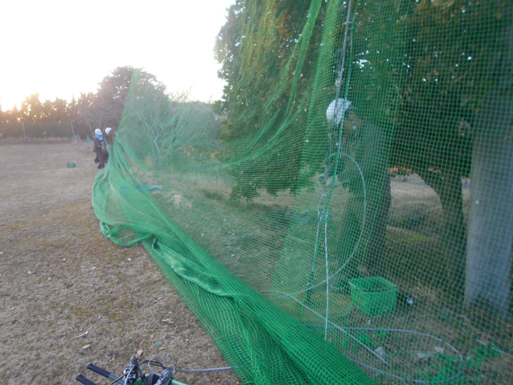 防球ネット張替工事