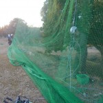 防球ネット張替工事