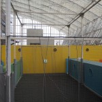 福岡アンパンマンこどもミュージアムinモール内インドアネット工事