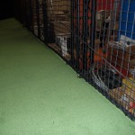 バッティングゲージネット設置工事