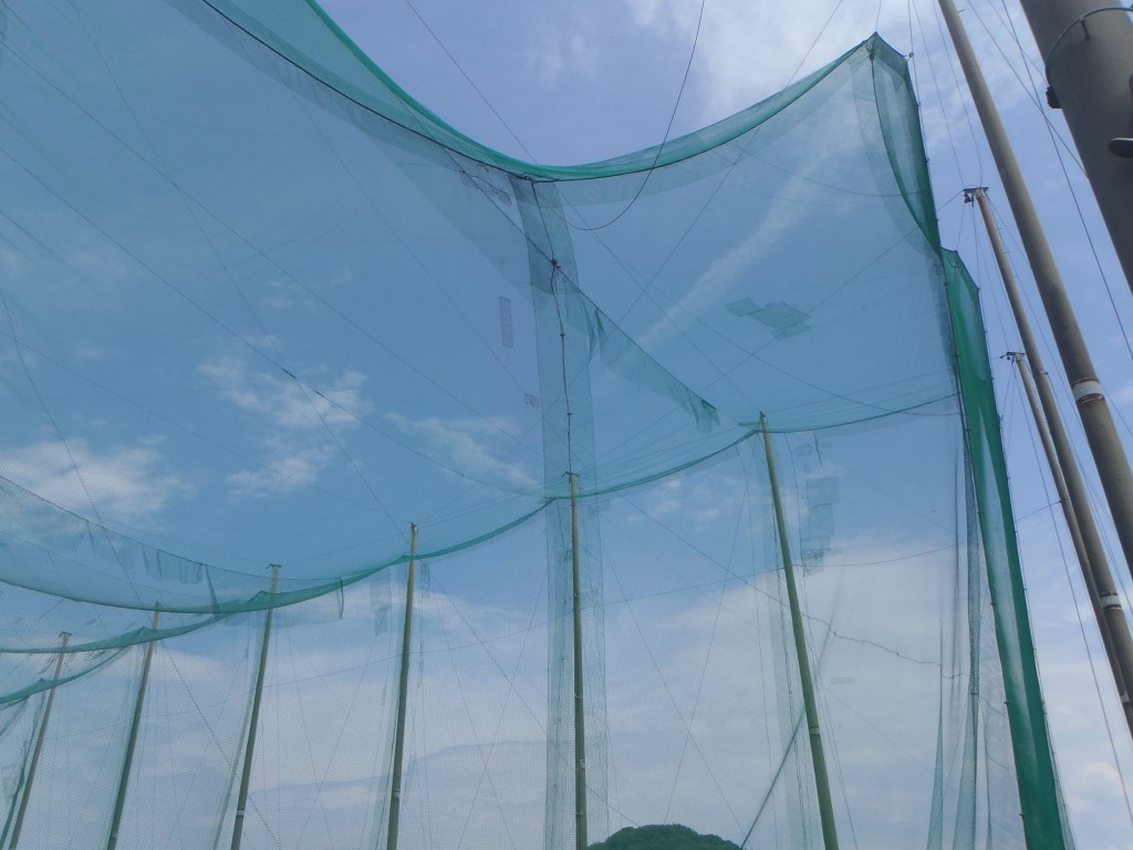 ワイヤー交換工事