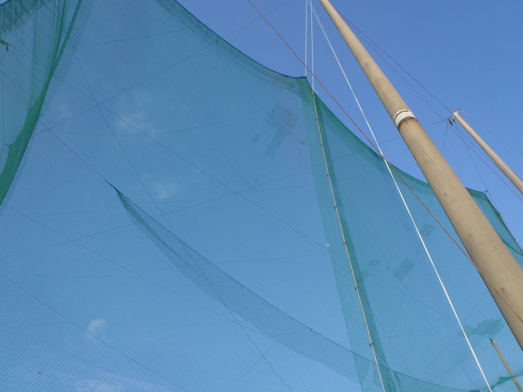 ワイヤー交換工事