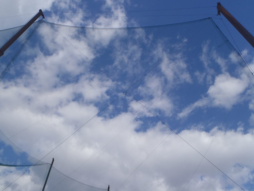 ブレスワイヤー交換工事