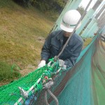 帯ネット交換他工事