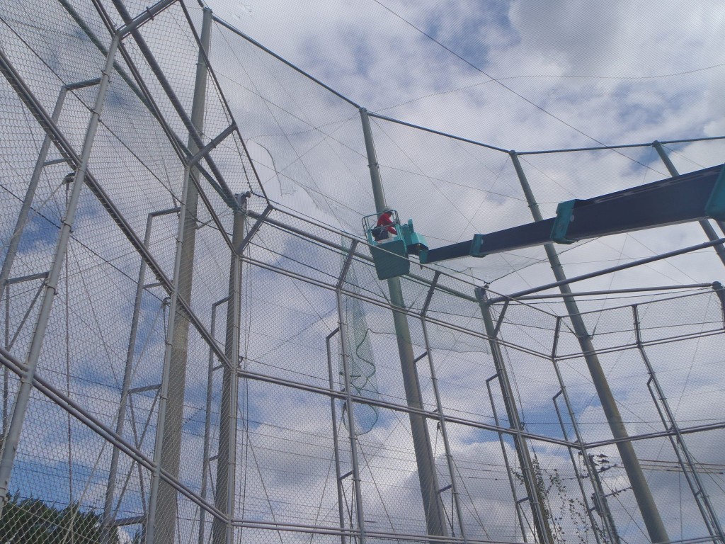 ネット補修工事
