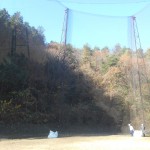 防球ネット張替工事