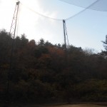 防球ネット張替工事