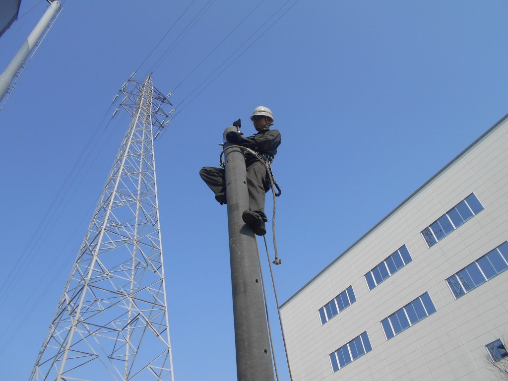 防球ネット張替工事