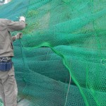 帯ネット交換工事