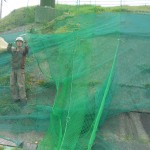 帯ネット交換工事