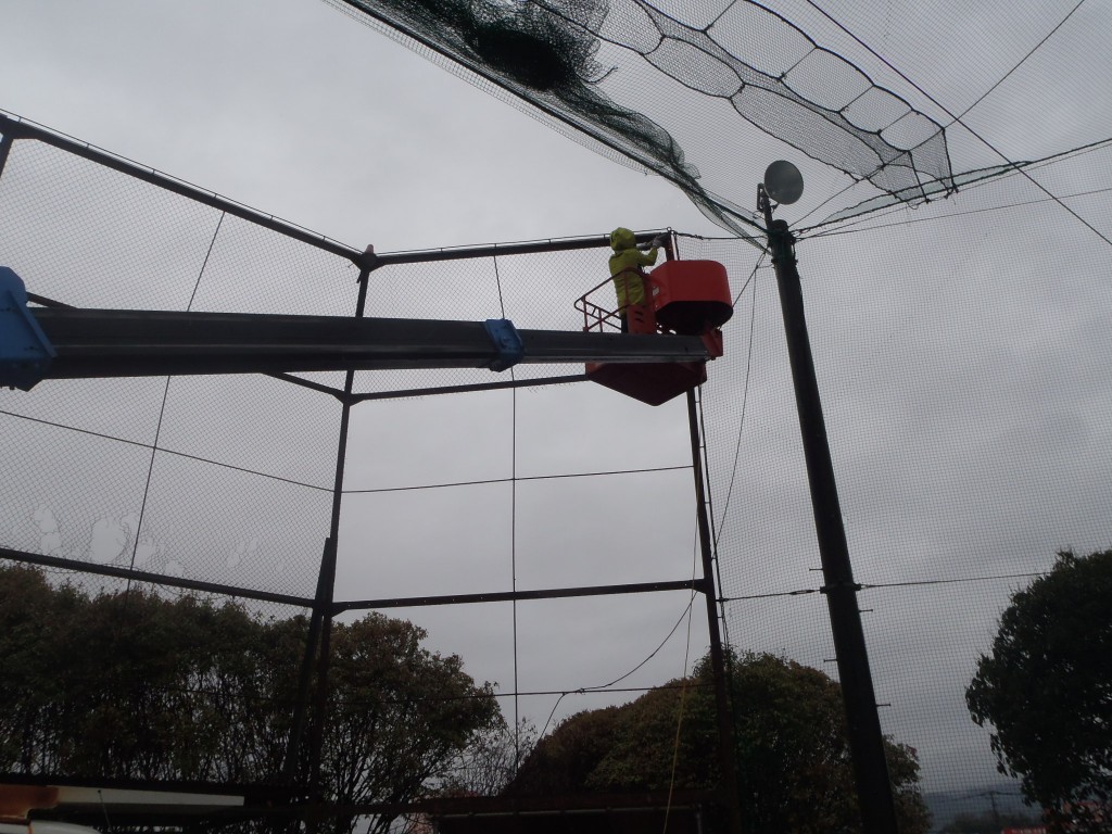 フェンス張替工事