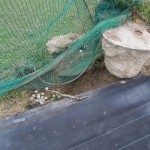 ガイドワイヤー交換工事