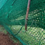 防球ネットガイドアンカー復旧工事