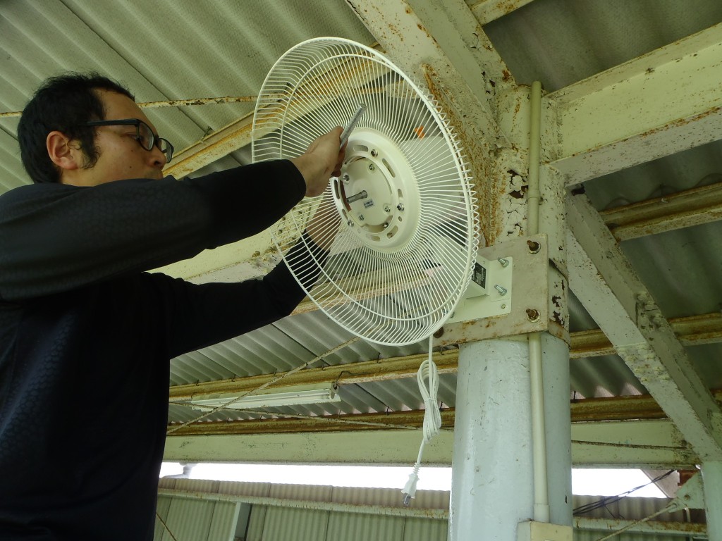 扇風機交換工事