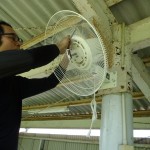 扇風機交換工事