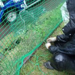 防球ネット張替工事