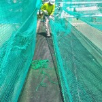 固定張りネット張替工事