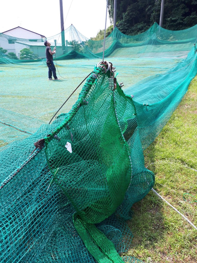 帯ネット交換他工事