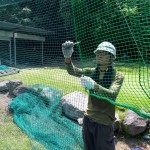 帯ネット交換他工事