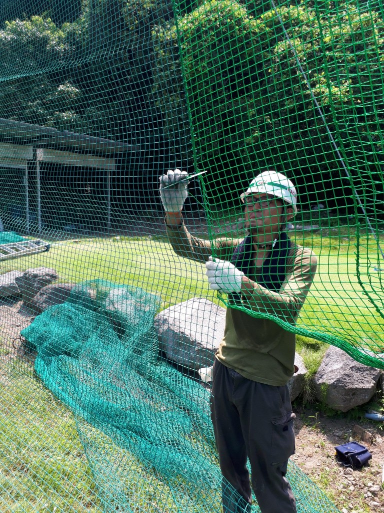 帯ネット交換他工事