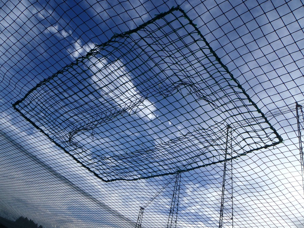 ネット補修工事