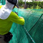 ワイヤー交換工事