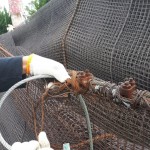 ワイヤー交換工事