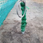 アンカー復旧工事