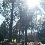 ワイヤー交換工事