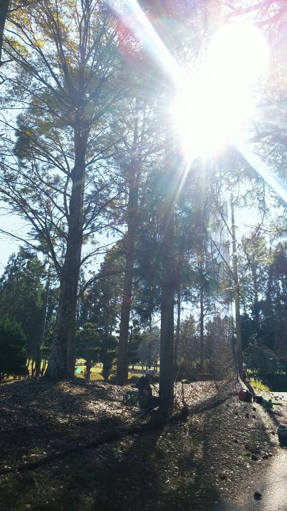 ワイヤー交換工事