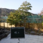 目隠しネット設置工事