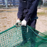 天タレネット増設工事