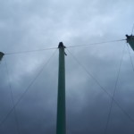 巻きワイヤー交換工事