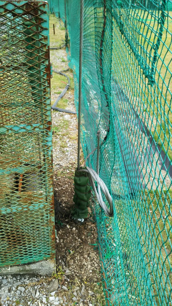 ガイドワイヤー交換工事