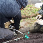 ガイドワイヤー交換工事