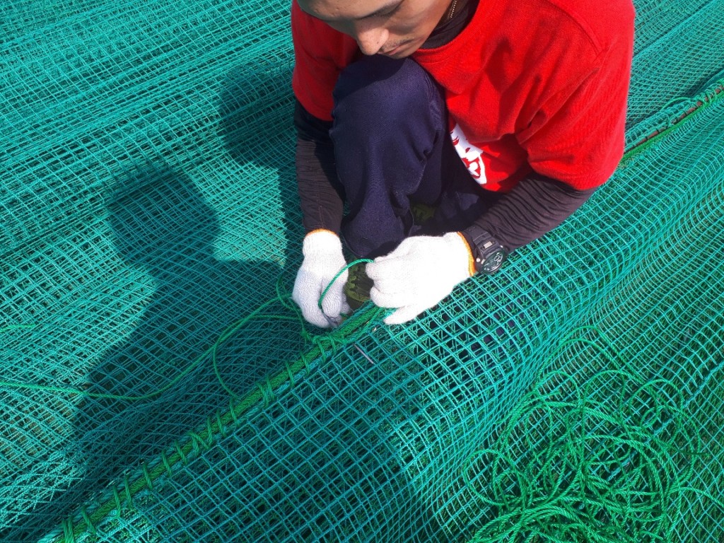 ネット増設工事