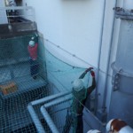 落下防止ネット設置工事