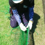 天井ネット張替え工事