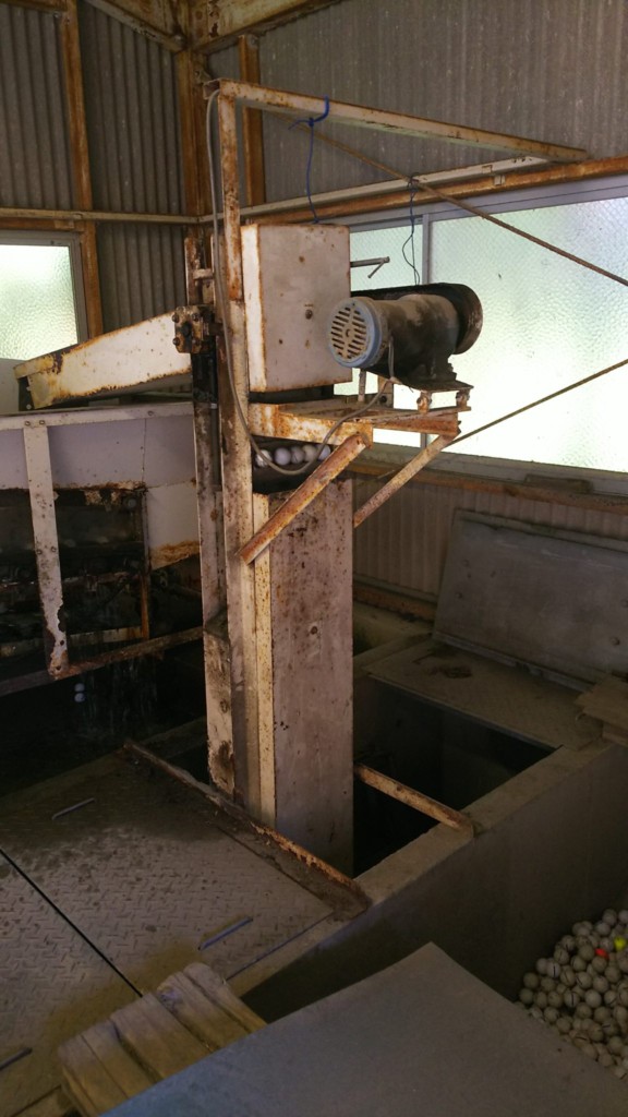 送球コンベア交換工事