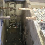 送球コンベア交換工事