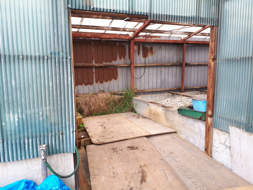 ボール洗浄機入替工事