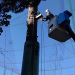 遮光ネット滑車交換