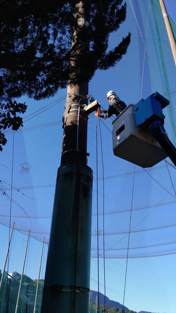 遮光ネット滑車交換