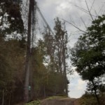 ワイヤー交換工事