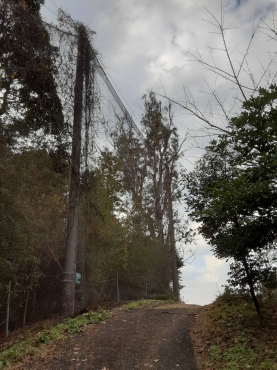 ワイヤー交換工事