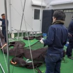 インドアゴルフネット設置工事