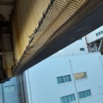 発電所内剥落防止垂直ネット設置工事