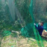 ゴルフ練習場防球ネット補修工事